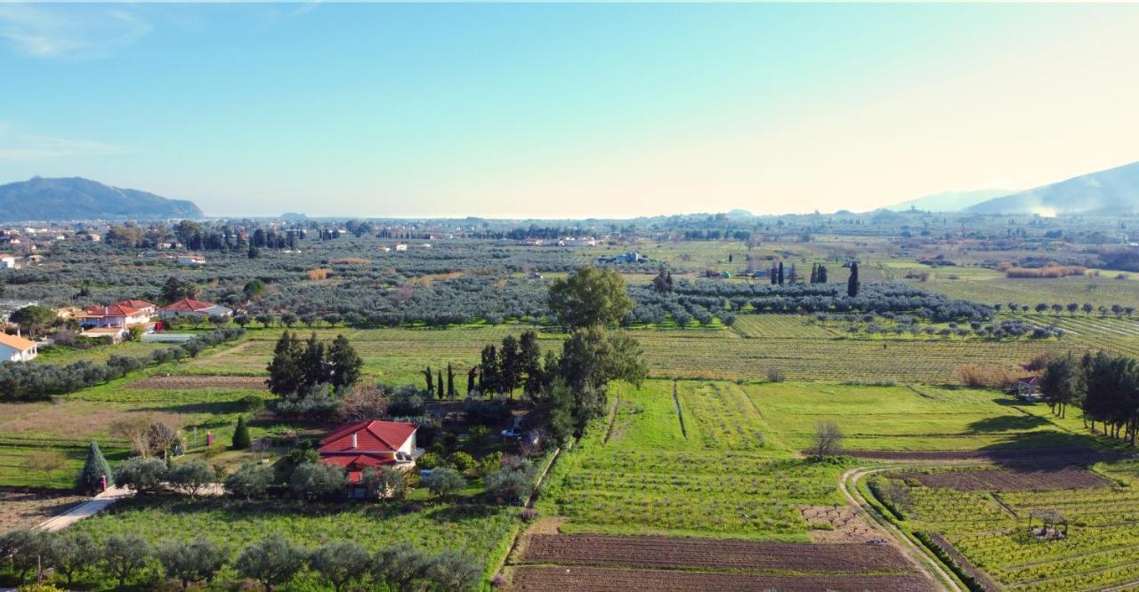Loukas Farm House Agios Kirikos  Exterior photo