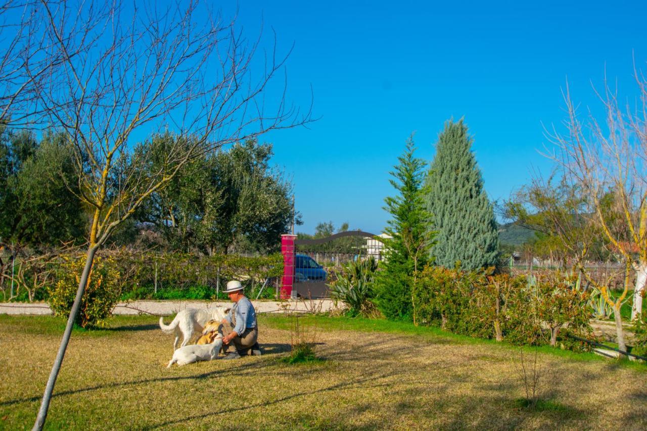 Loukas Farm House Agios Kirikos  Exterior photo