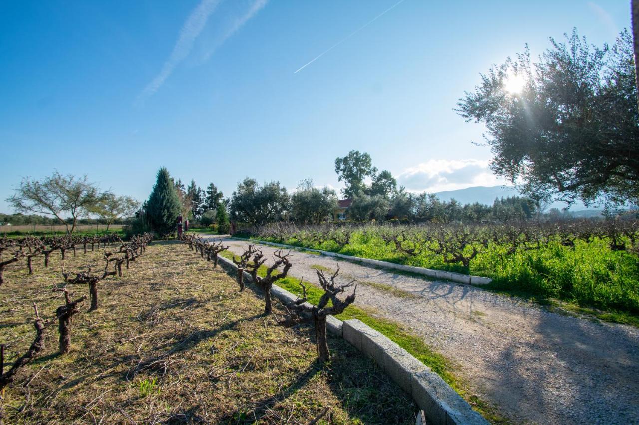 Loukas Farm House Agios Kirikos  Exterior photo