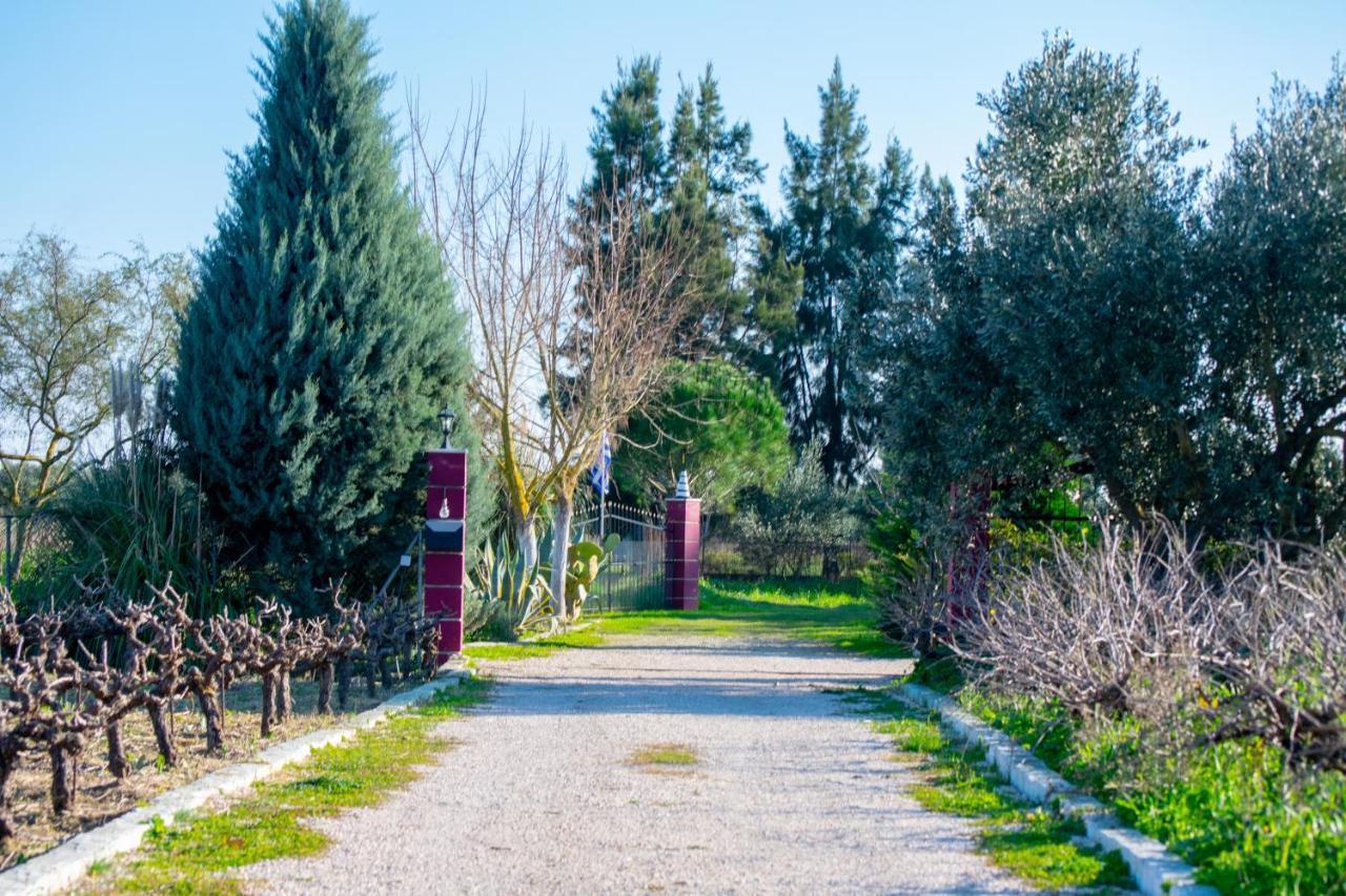 Loukas Farm House Agios Kirikos  Exterior photo
