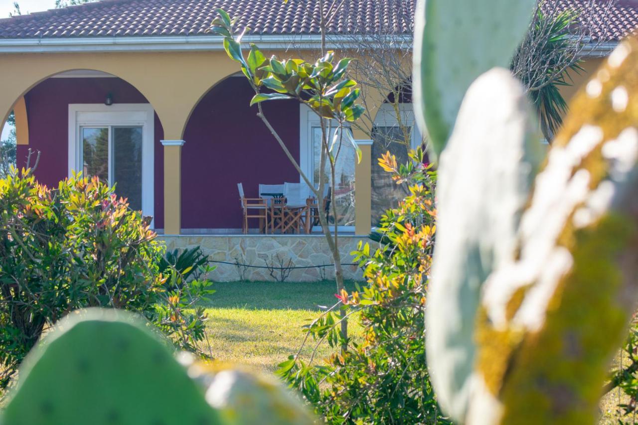 Loukas Farm House Agios Kirikos  Exterior photo